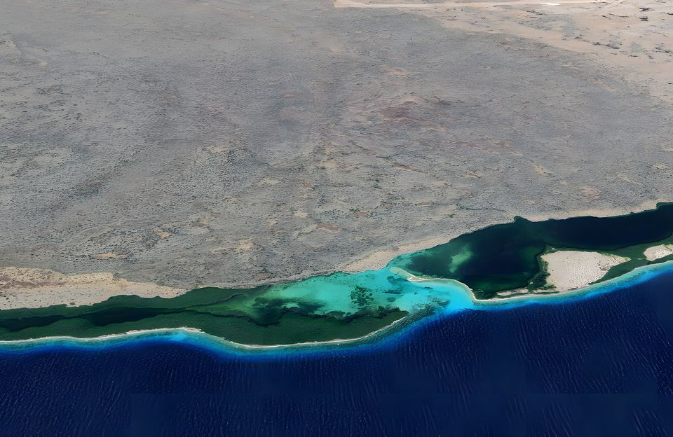 Mangroves and reef along the south coast of La Tortuga